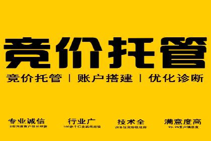 如何在竞争激烈的市场中脱颖而出——SEM竞价专员案例